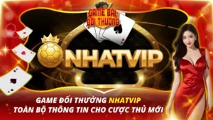 Nhatvip