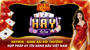 Haywin