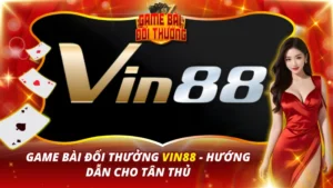 VIN88